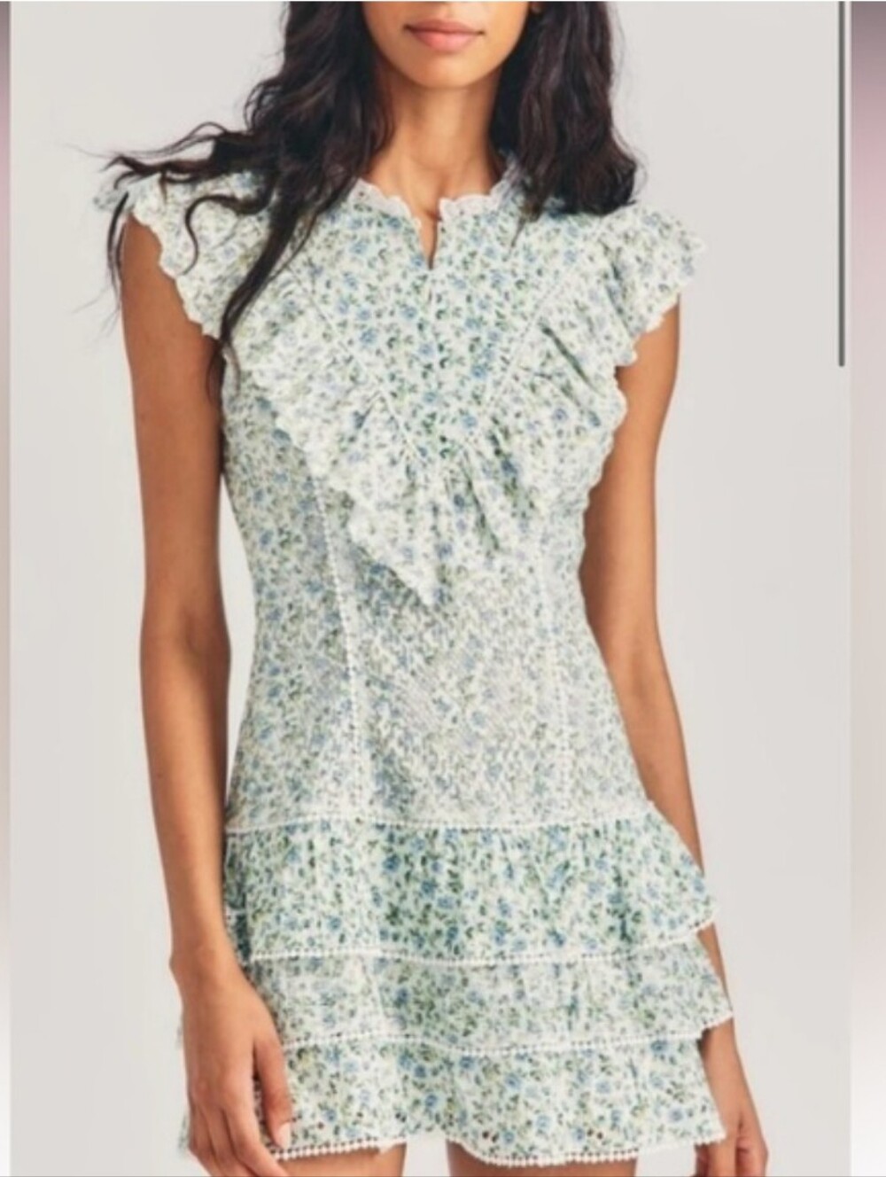 LoveShackFancy Lunetta Floral Embroidered Eyelet Lace Mini Coquette Dress Size 2